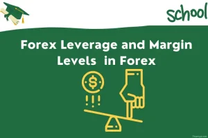 Forex Leverage and Margin Level in Forex rev