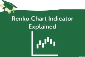 Renko Chart Indicator for MT5 MT4 and Tradingview rev