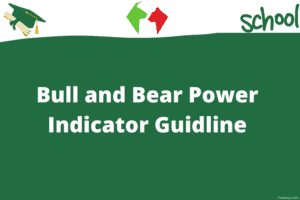 Bull and Bear indicator guideline