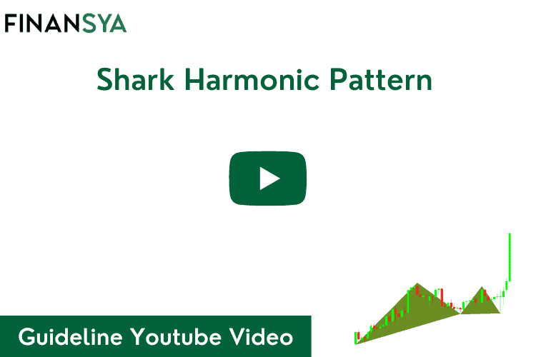 Shark Harmonic Pattern guidline forex traders